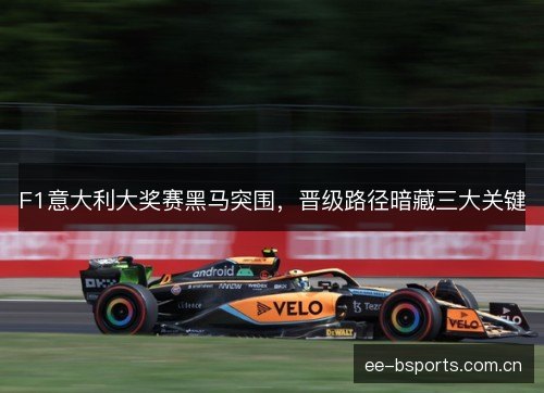 F1意大利大奖赛黑马突围,晋级路径暗藏三大关键 F1意大利大奖赛黑马突围,晋级路径暗藏三大关键